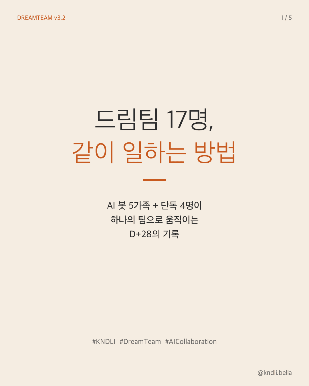 표지 — 드림팀 17명